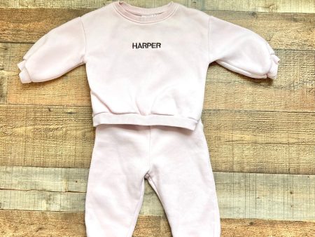 Zara Pink Harper Sweatshirt and Sweatpants Set- Size 12-18M (sold as a set) Sale