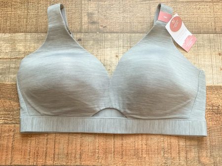 Cacique Gray Heather No-Wire Bra NWT- Size 38D Online now