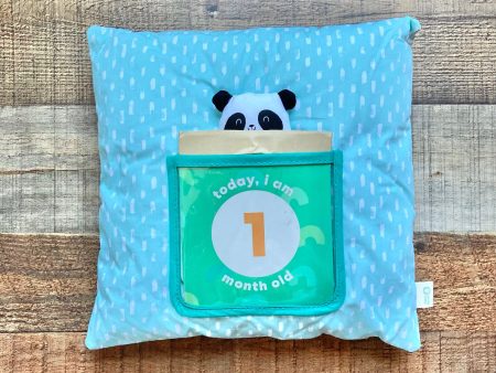 Panda Crate Mint Green Month Milestone Pillow For Cheap