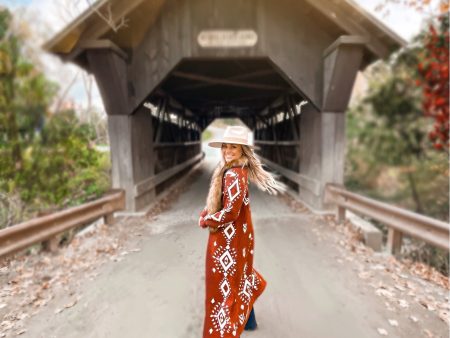 Buddy Love Brown Aztec Print Removable Faux Fur Collar Cardigan NWT- Size S (sold out online) Supply